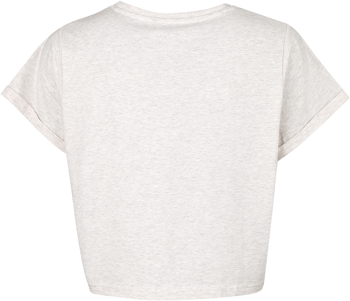 Harry Potter Seidenschnabel (Buckbeak) T-Shirt creme meliert