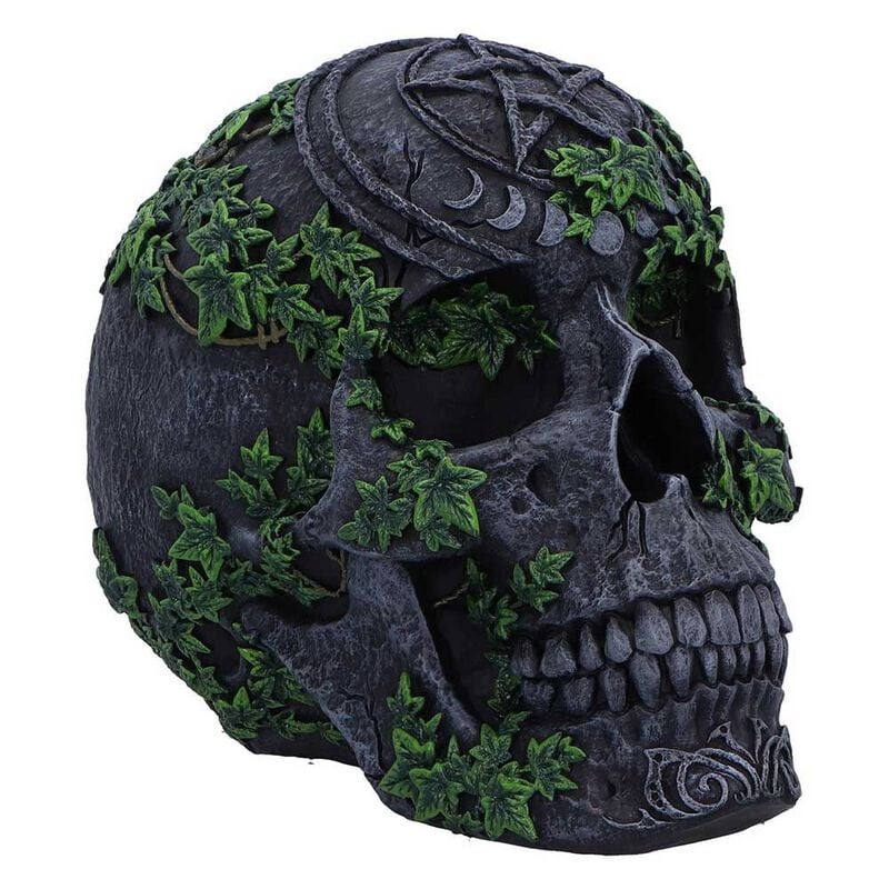 Nemesis Now - Gothic Totenkopf - Aged Pentagram Skull - multicolor