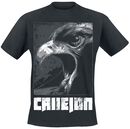 Adler, Callejon, T-Shirt