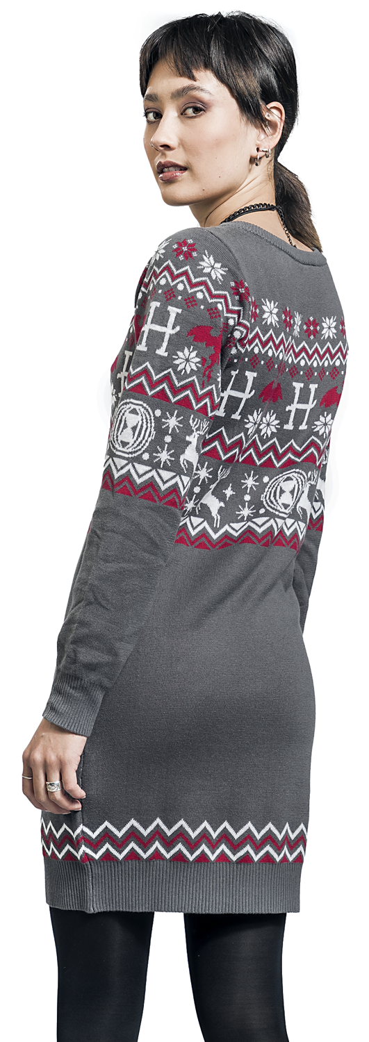 Harry Potter Phönix & Patronus Mittellanges Kleid multicolor