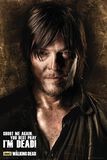 Daryl Shadows, The Walking Dead, Poster