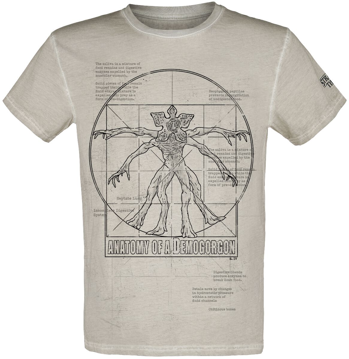 Stranger Things T-Shirt - Anatomy Of A Demogorgon - S bis 4XL - für Männer - Größe L - grau  - EMP exklusives Merchandise!