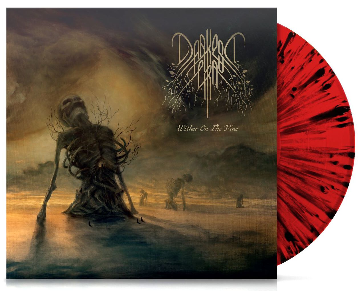0602445643639 - Wither On The Vine (Black Red Splatter) - Darkest Era (LP)