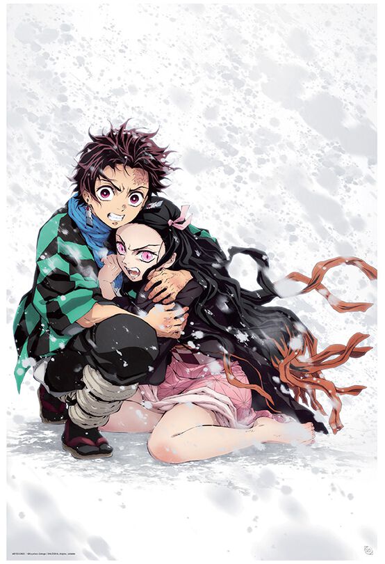 Demon Slayer Tanjiro & Nezuko Snow Poster multicolour