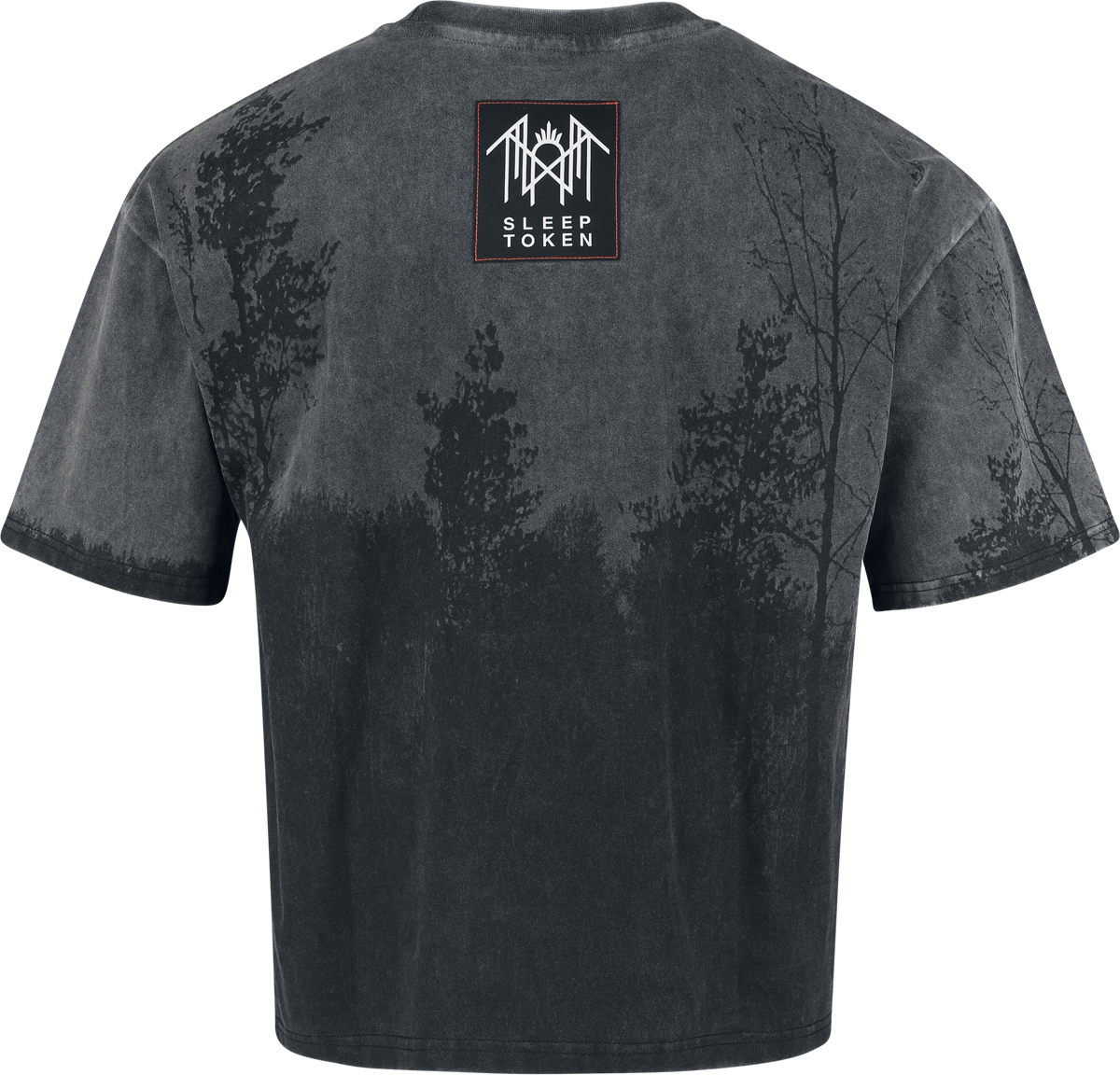 4068143338806 - EMP Signature Collection - Heavyweight T-Shirt dunkelgrau schwarz in S