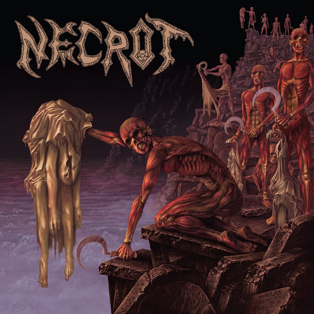 Image of Necrot Mortal CD Standard