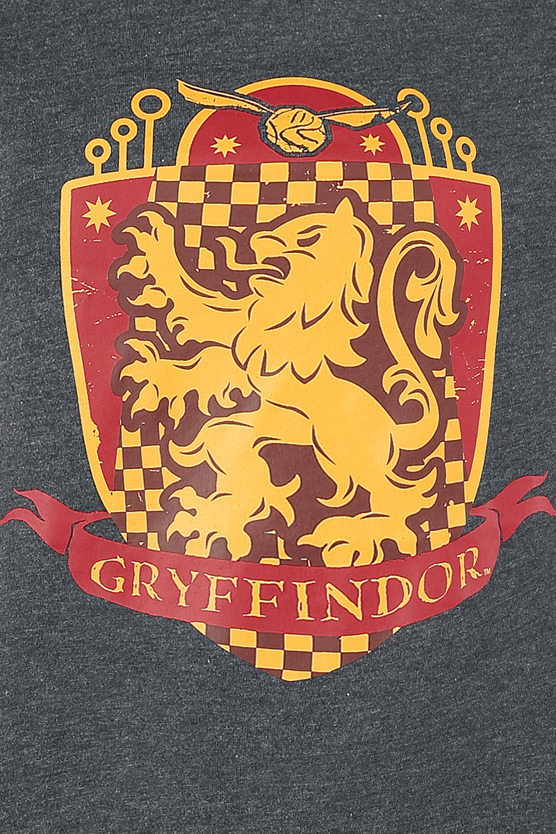 Harry Potter Gryffindor Quidditch Schlafanzug grau rot gelb