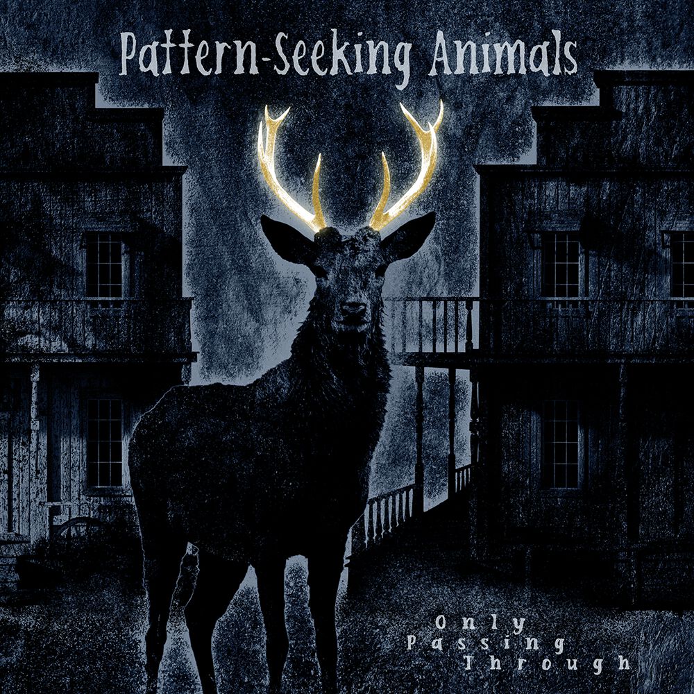 Pattern-Seeking Animals Only passing through CD multicolor