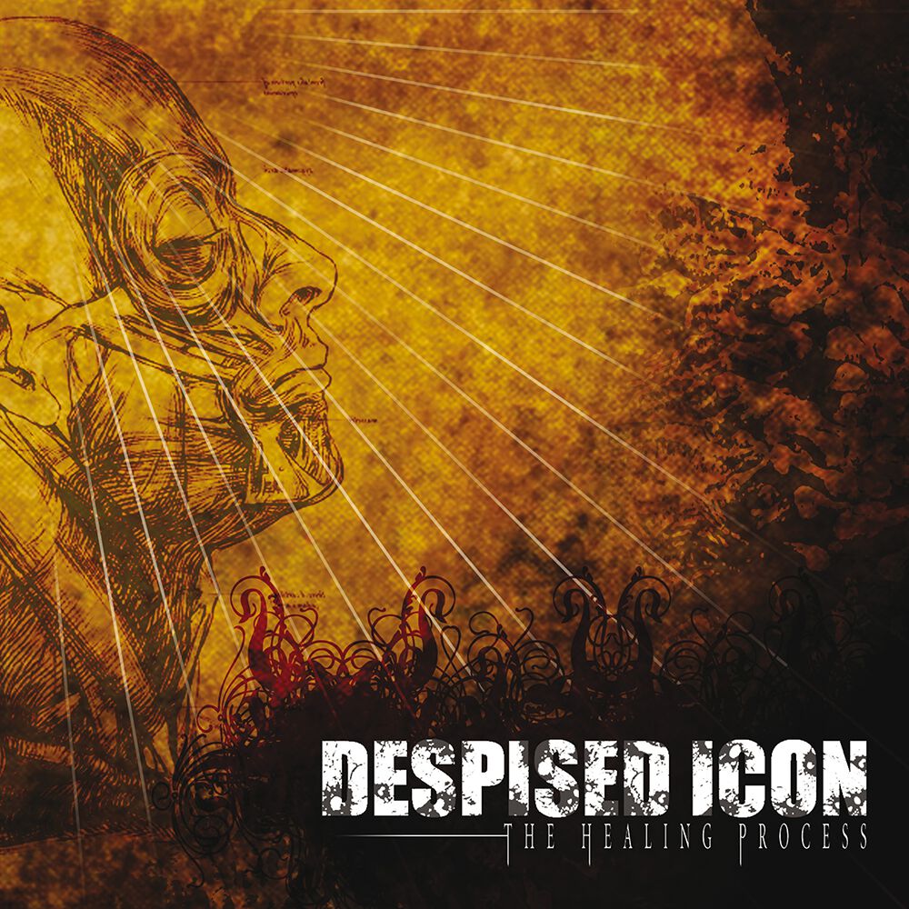 Image of Despised Icon The healing process CD Standard