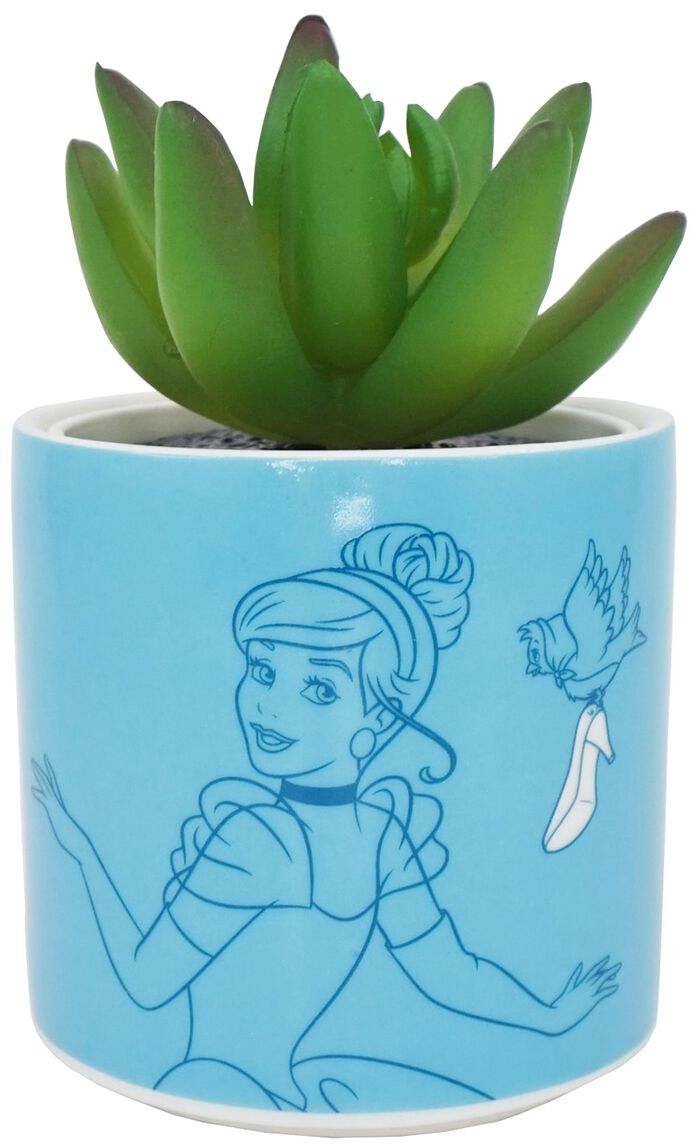 Image of Articoli Decorativi Disney di Cenerentola - Plant pot holder - Unisex - blu