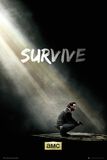 Survive, The Walking Dead, Poster