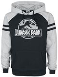 Silver Logo, Jurassic Park, Kapuzenpullover