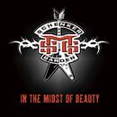 In the midst of beauty, Michael Schenker Group, CD