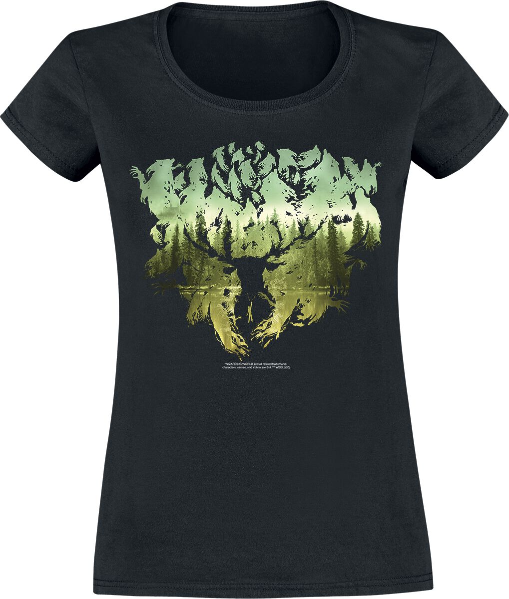 Harry Potter Silhouette T-Shirt schwarz