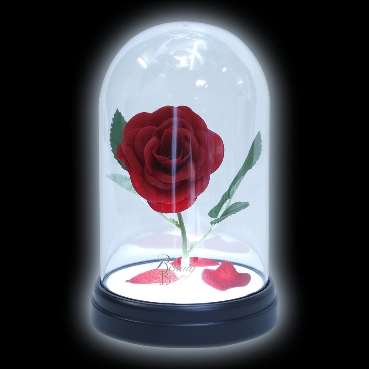 Lampe Disney de La Belle Et La Bête - Rose Enchantée - pour Unisexe - Standard