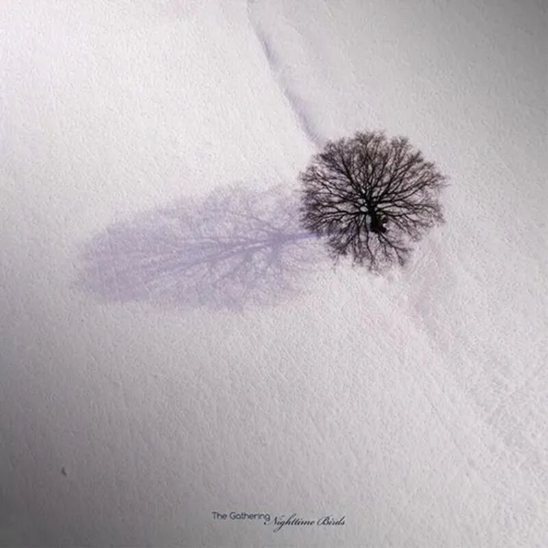 8716059013473 - Nighttime birds LP multicolor