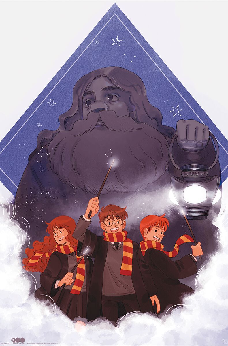 Harry Potter Hagrid Poster multicolor