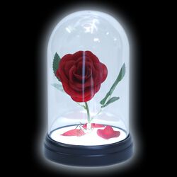 Enchanted Rose, Die Schöne und das Biest, Lampe