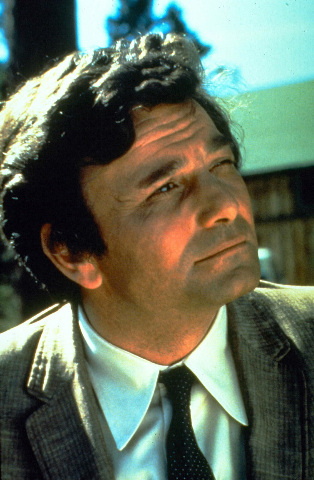 Die komplette Serie | Columbo DVD | EMP