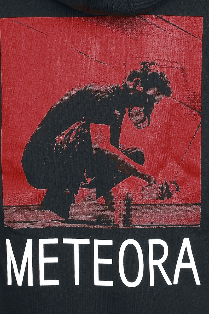 Thumbnail - Linkin Park Meteora Red Kapuzenjacke schwarz in L