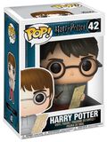 Harry Potter mit Karte des Rumtreibers Vinyl Figur 42, Harry Potter, Funko Pop!
