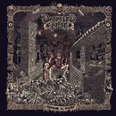 Kingdom of worms, Deserted Fear, CD