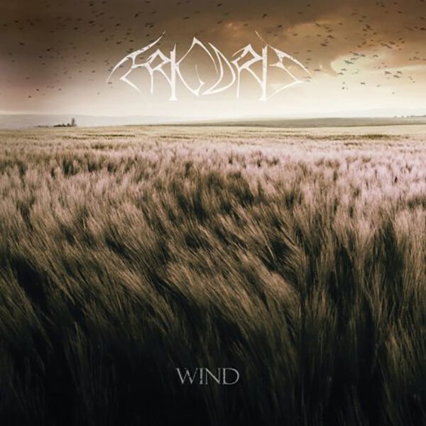 P wind предохранитель