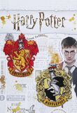 Gryffindor und Hufflepuff, Harry Potter, Patch