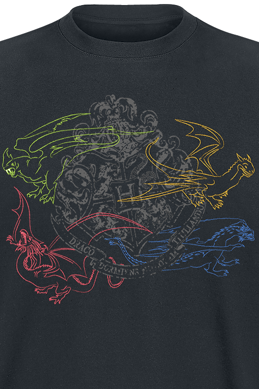 Harry Potter Dragon Outline Sigil T-Shirt schwarz