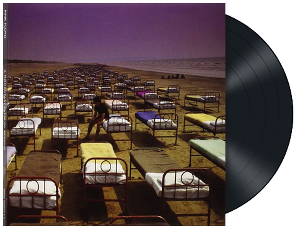 A Momentary Lapse Of Reason Pink Floyd Lp Emp