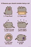 Reasons to be a cat, Pusheen, Poster