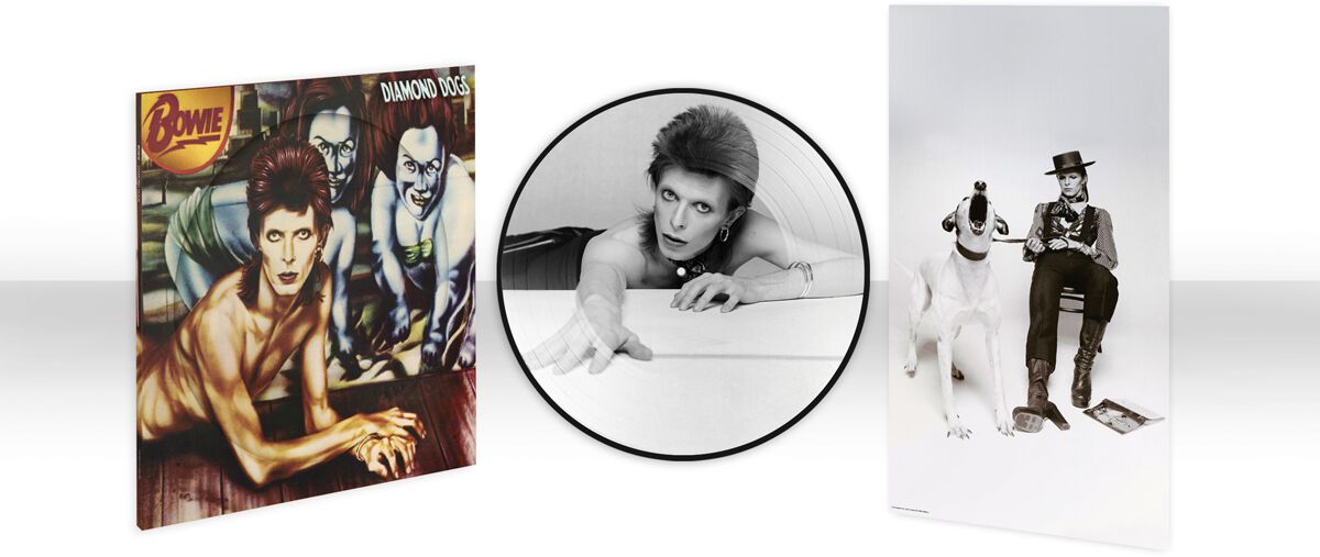 Levně David Bowie Diamond dogs (50th anniversary) LP obrázek