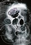 Mercury Rose, Mercury Rose, Poster