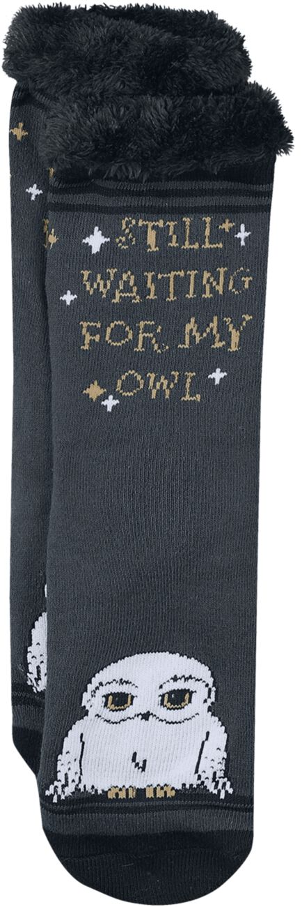 Harry Potter Socken - Hedwig - EU35-38 bis EU39-42 - für Damen - Größe EU 35-38 - multicolor  - EMP exklusives Merchandise!