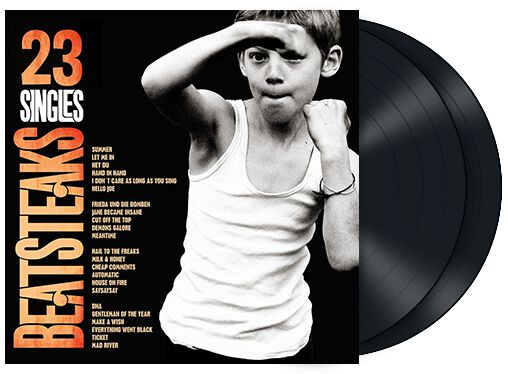 Image of Beatsteaks 23 Singles 2-LP Standard