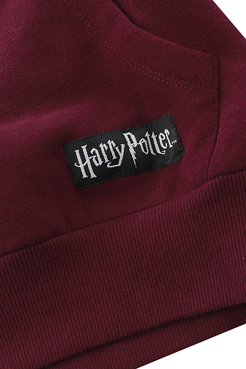 Harry Potter Kids - Gryffindor Kapuzenpullover bordeaux