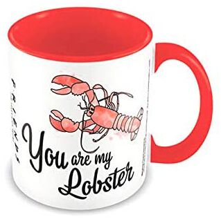 Friends You Are My Lobster Cup white black red