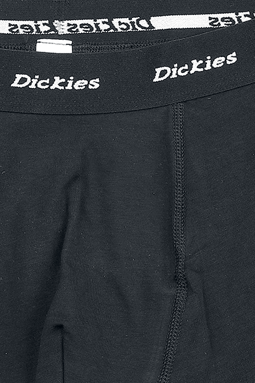 Dickies Dickies 2er-Pack Trunks Boxershort schwarz
