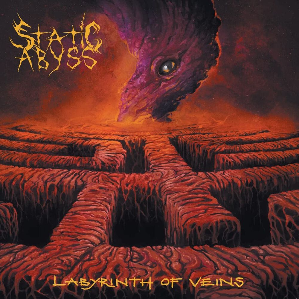 Image of Static Abyss Labyrinth of veins CD Standard