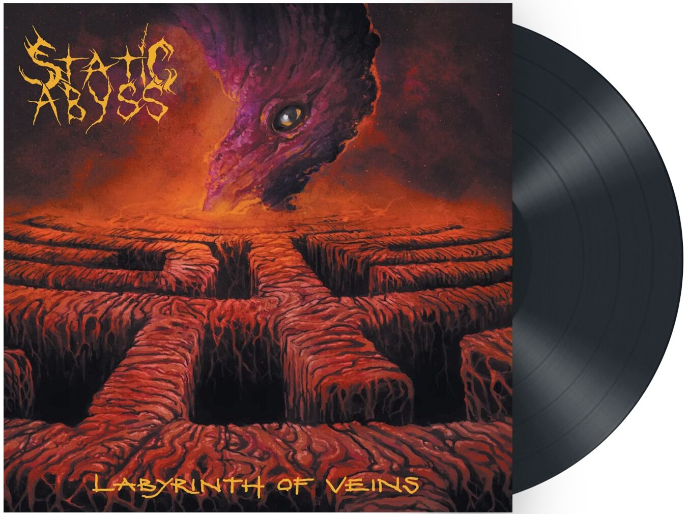 Static Abyss Labyrinth of veins LP black
