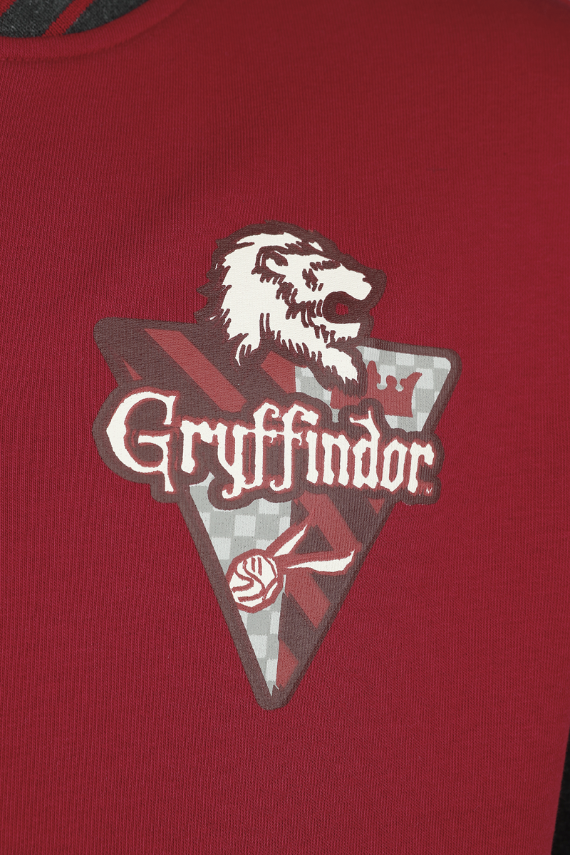 Harry Potter Gryffindor - 07 Collegejacke multicolor