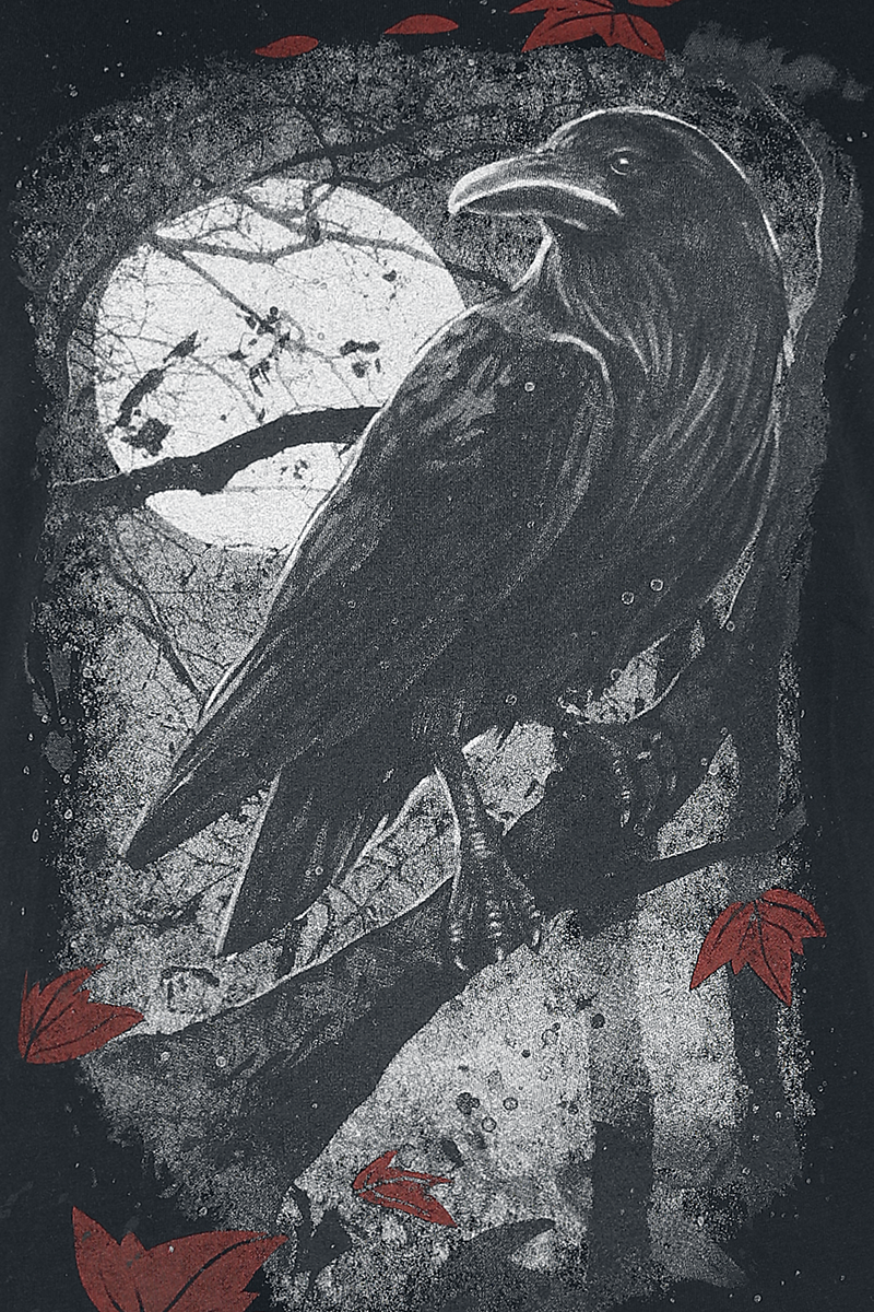 4064854454033 - T-Shirt mit Rabenprint T-Shirt schwarz in 5XL