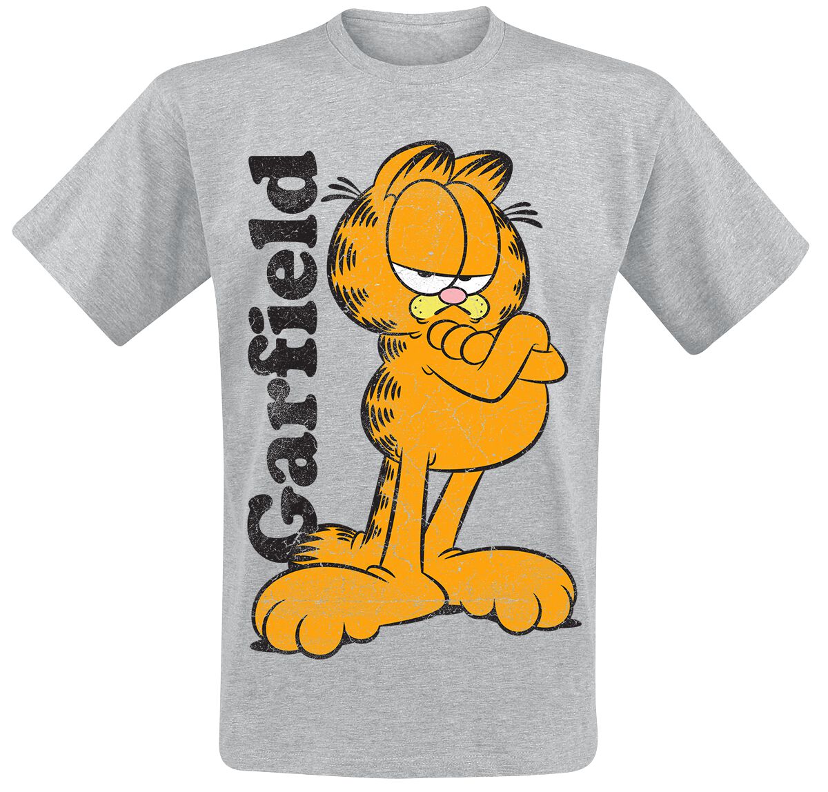Garfield Garfield T-Shirt grau VIA-1-GAR 001-H97-11-HG