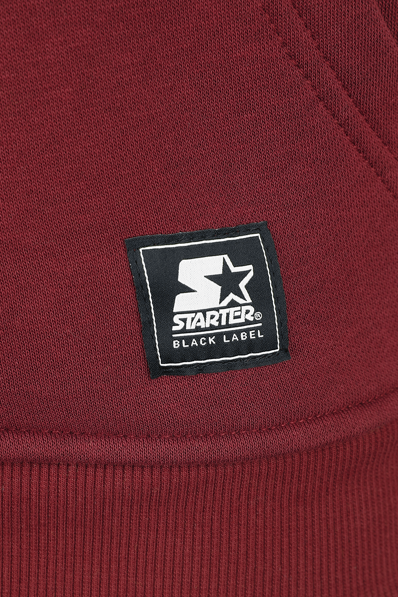 Starter Starter Small Logo Hoody Kapuzenpullover rot