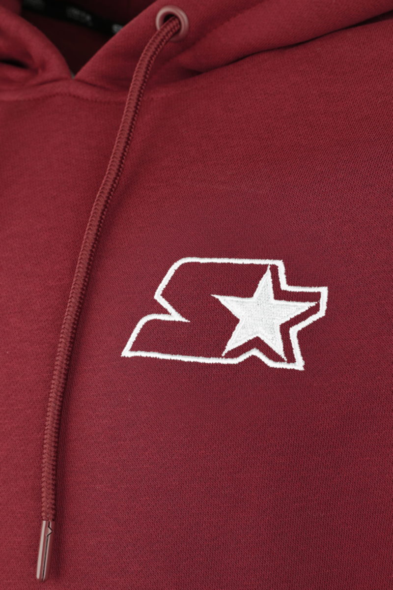 Starter Starter Small Logo Hoody Kapuzenpullover rot