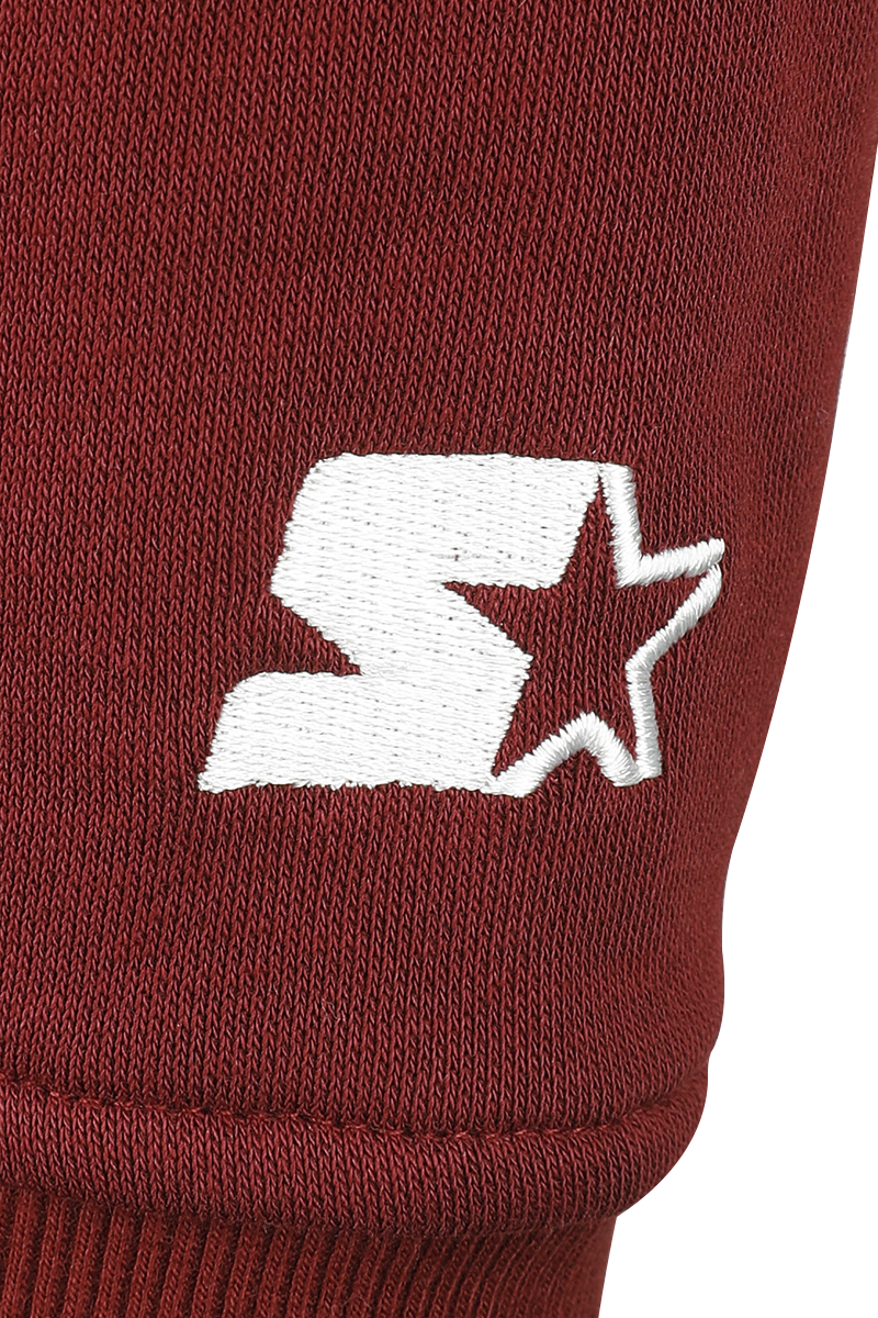 Starter Starter Small Logo Hoody Kapuzenpullover rot