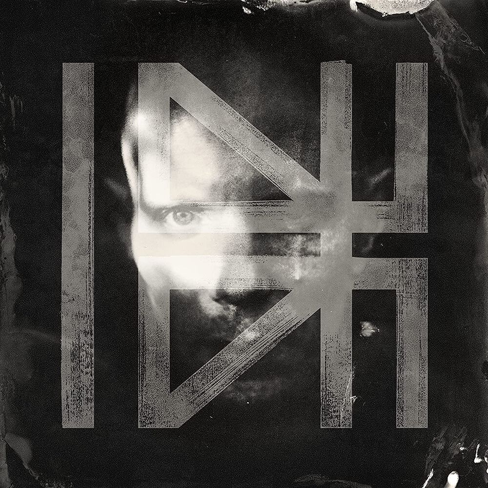 Billy Howerdel What normal was LP multicolor