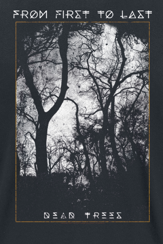 From First To Last Photo T-Shirt schwarz