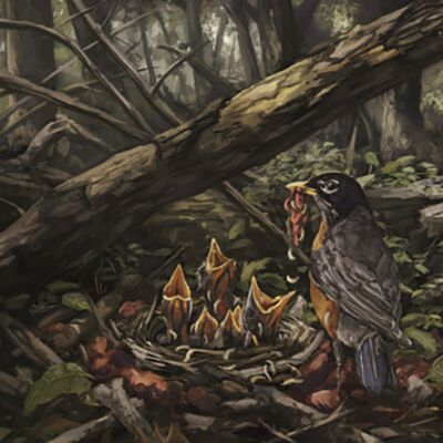 The Acacia Strain Step into the light LP schwarz The Acacia Strain Step into the light LP schwarz