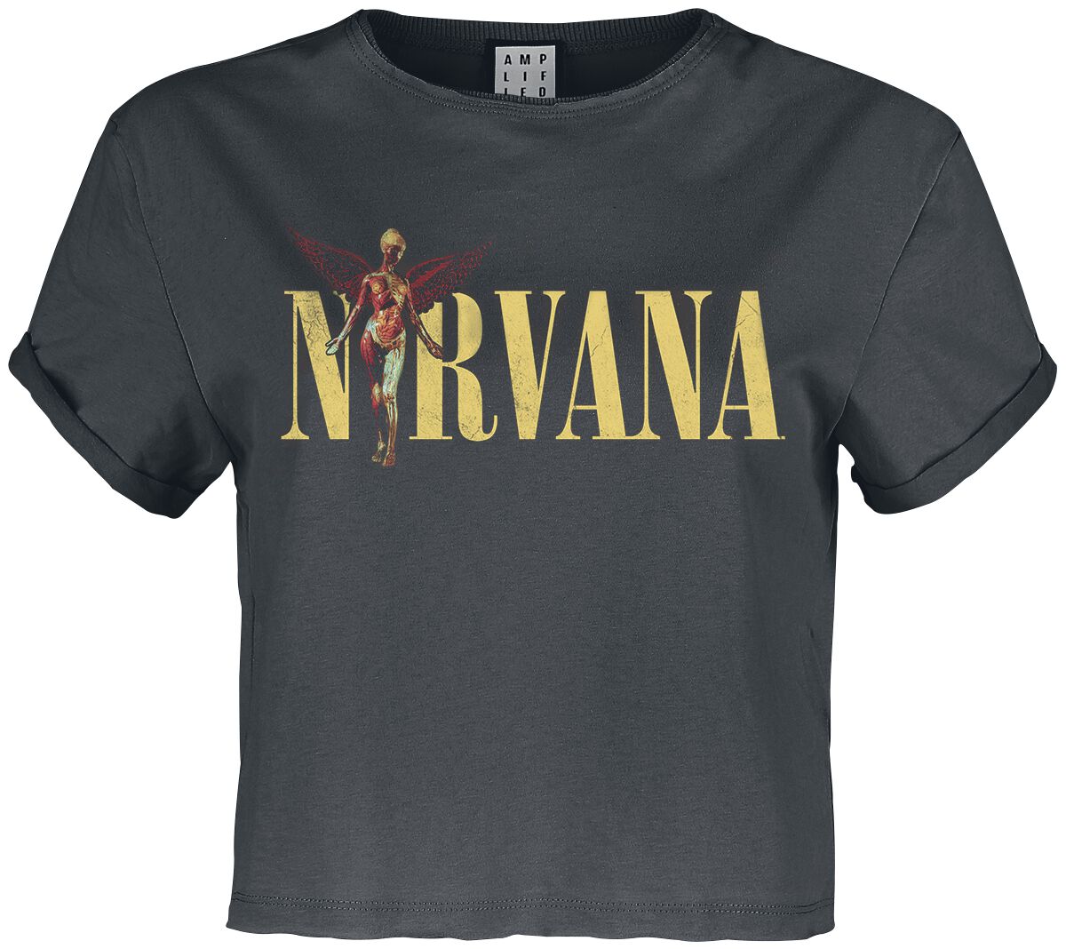 Levně Nirvana Amplified Collection - In Utero Colour Logo Dámské tričko charcoal